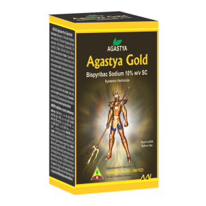 AGASTYA GOLD