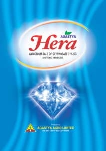 HERA