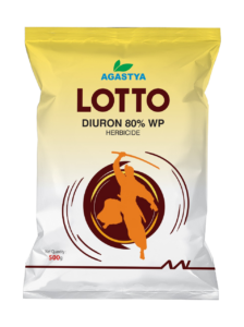 Lotto